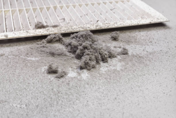 Best Best Air Duct Cleaning Near Me  in Linden, AL