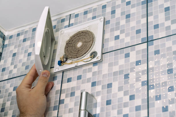Best Home Air Vent Cleaning  in Linden, AL